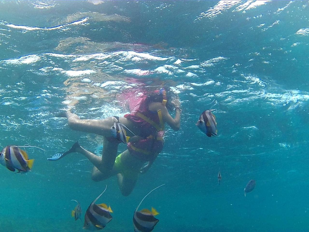 Arora Inn Maafushi Kültér fotó
